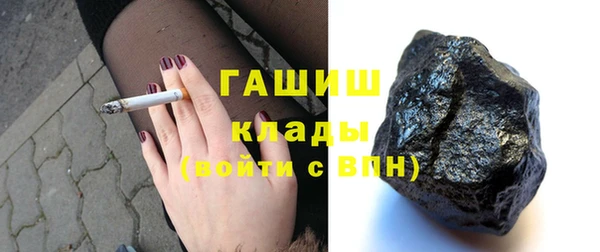 сатива Новозыбков