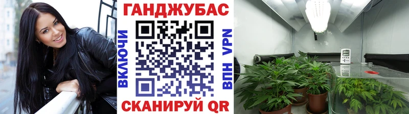 Каннабис Amnesia  Краснознаменск 